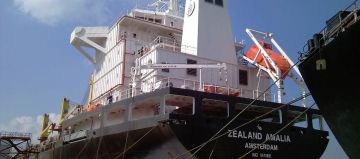 ZEALAND AMALIA